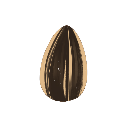 Nut & Seeds